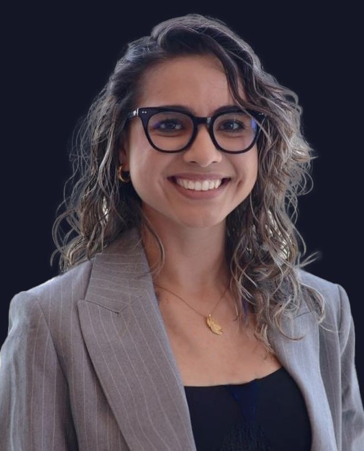 Perfil del usuario 2